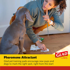 Glad pads grand format 30x36 offrent une couverture étendue pour chiens de grande taille.