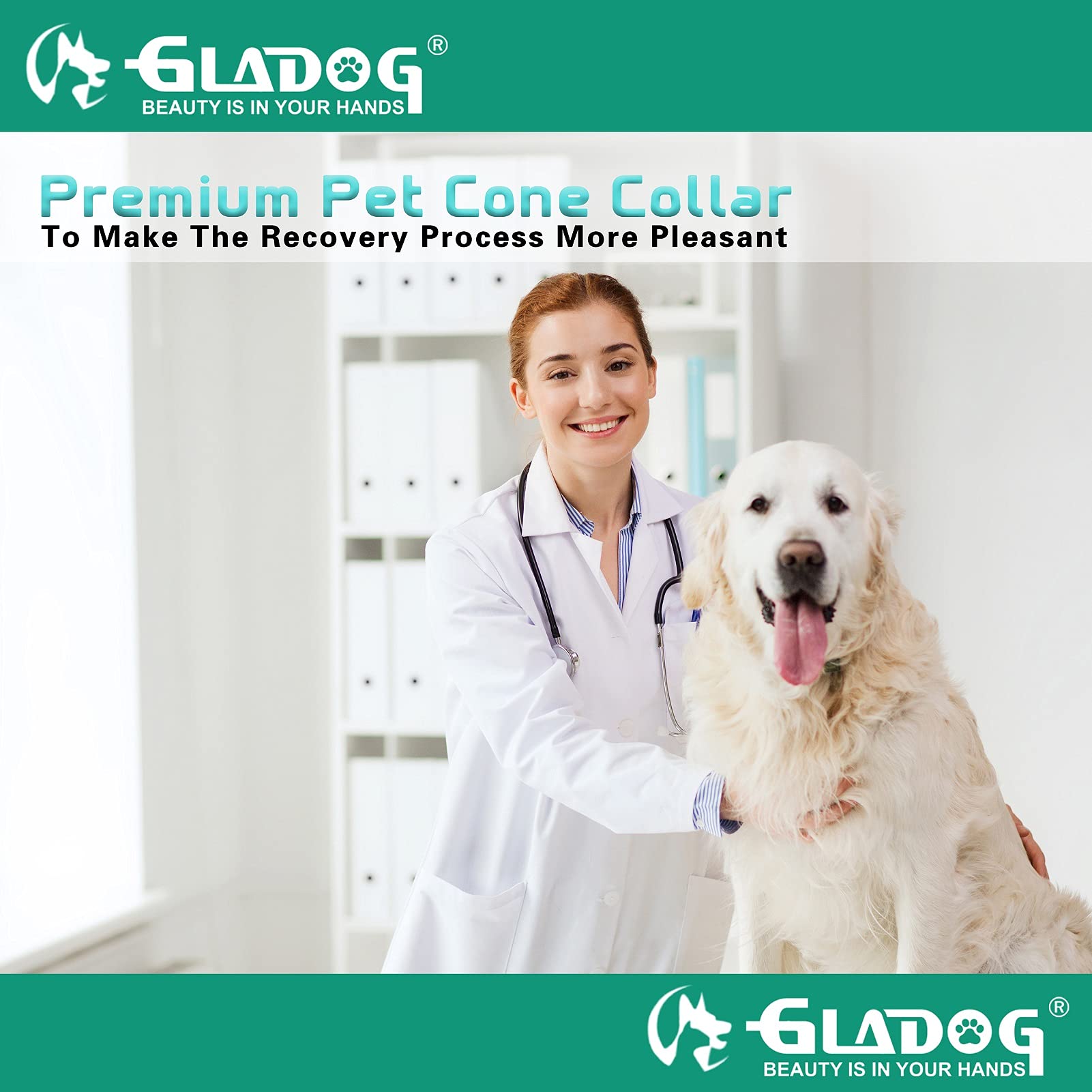 GLADOG collier conique doux, taille ajustable pour chiens de toutes tailles.