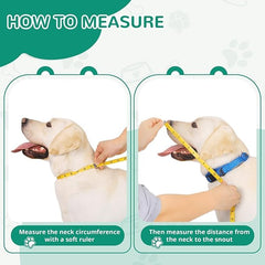 GLADOG Soft Dog Cone Collar – plastique transparent n’obstrue pas la vue du chien.