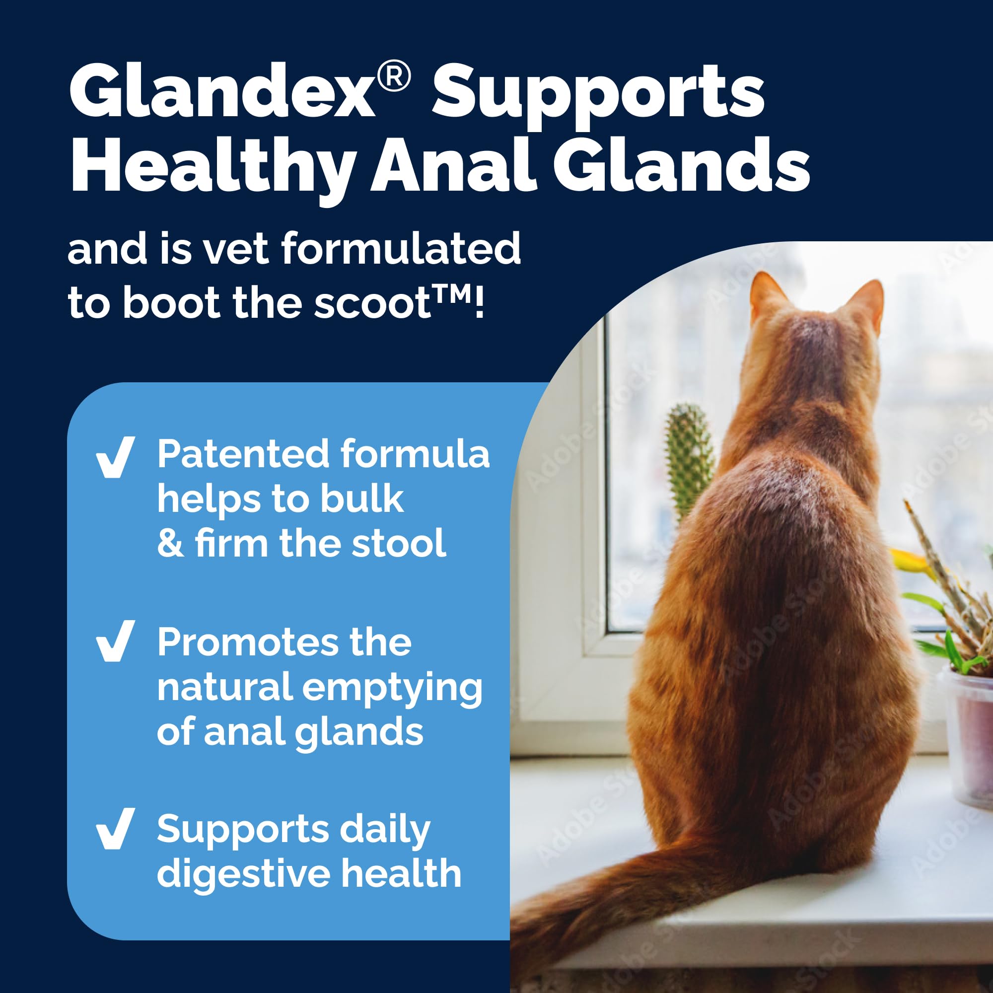 Glandex chat mélange-alimentation: facile à ajouter sur la nourriture.
