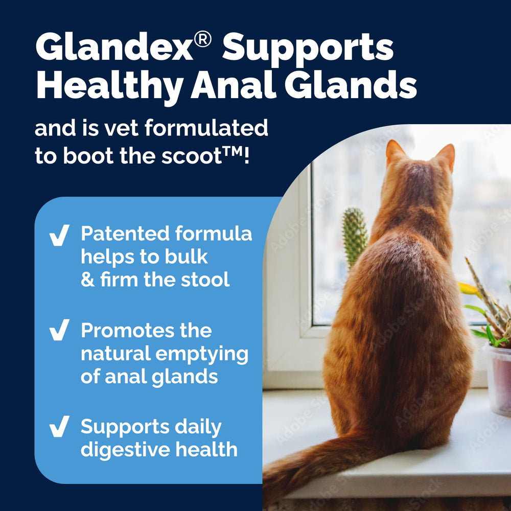 Glandex chat mélange-alimentation: facile à ajouter sur la nourriture.