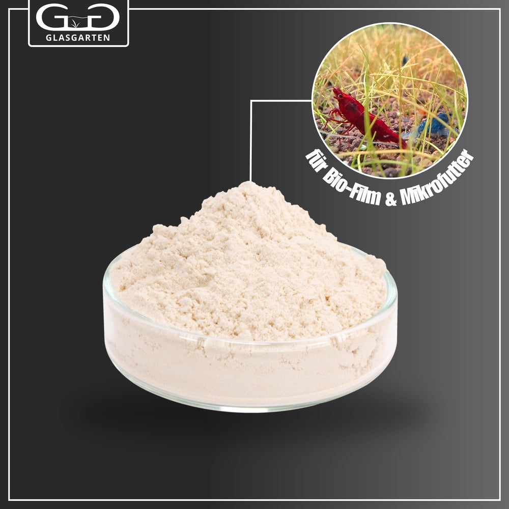 GlasGarten Bacter AE – bactéries probiotiques soutenant la digestion
