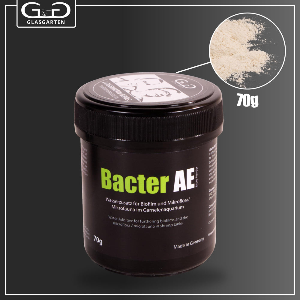 GlasGarten Bacter AE – bocal pratique et facile à ranger