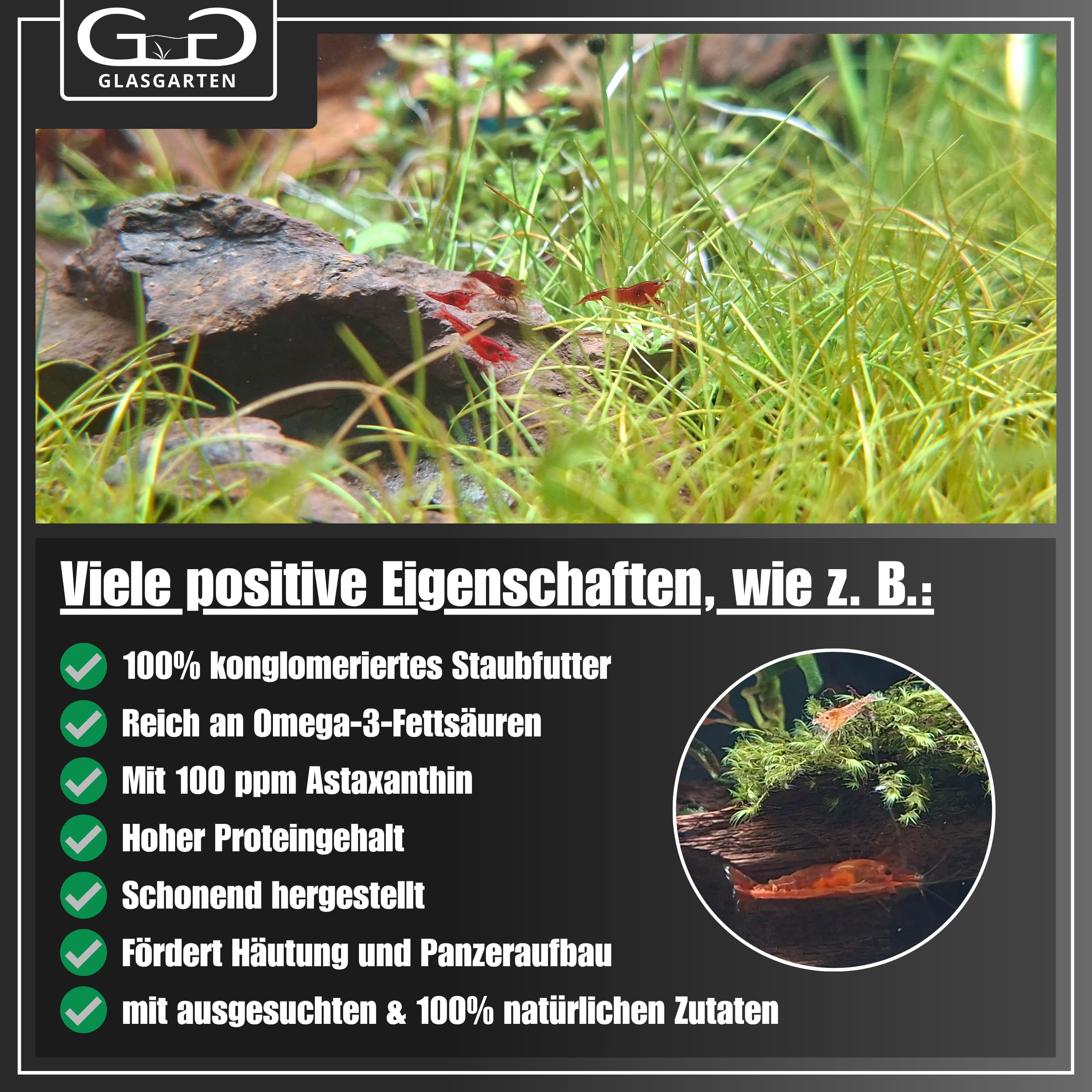 Nourriture quotidienne GLASGARTEN Care Food pour crevettes et escargots.
