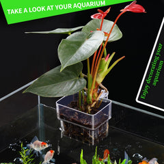 Ensemble de deux porte-plantes GLEFLE, idéal pour créer un coin botanique sous l'eau.