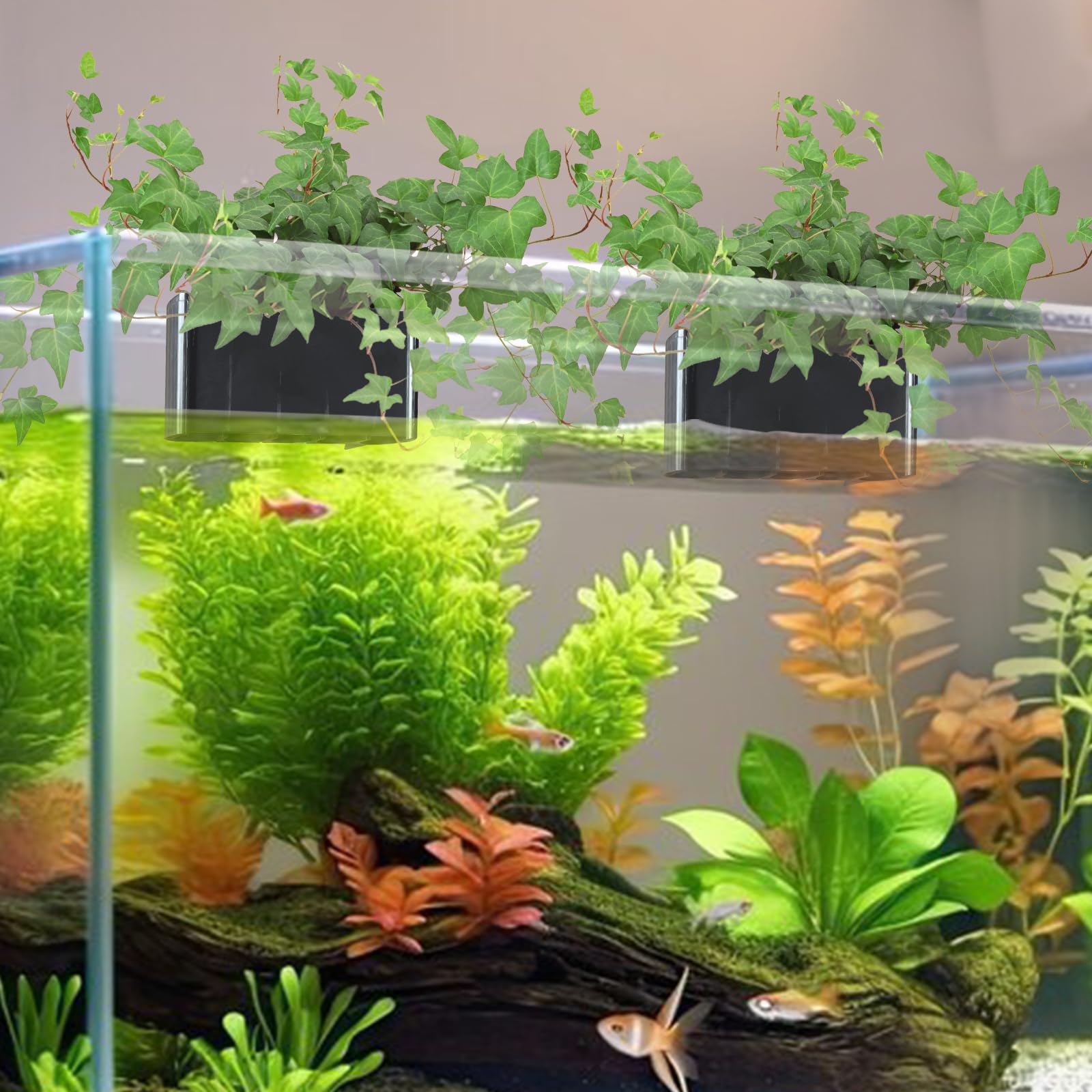 GLEFLE montage-sur-bac-aquarium; installation simple et décor naturel.