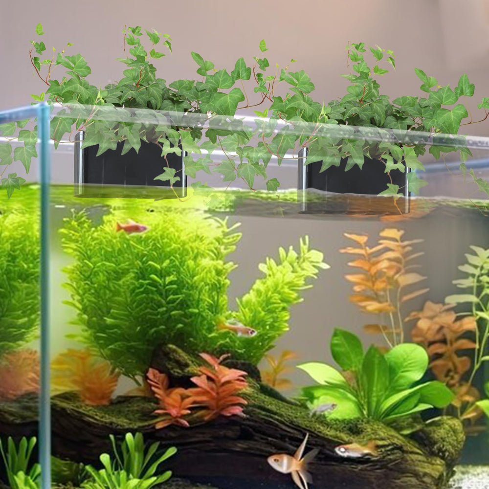 GLEFLE montage-sur-bac-aquarium; installation simple et décor naturel.