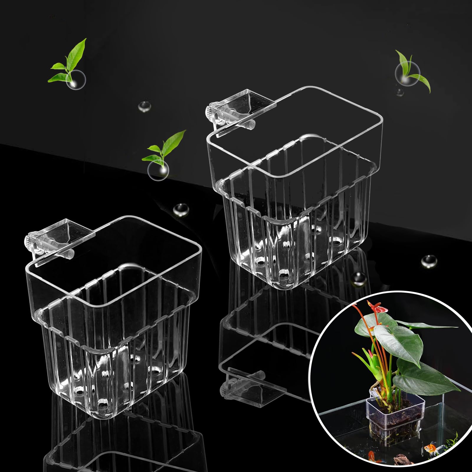 Porte-plante d'aquarium suspendu en acrylique clair, décor élégant et pratique.