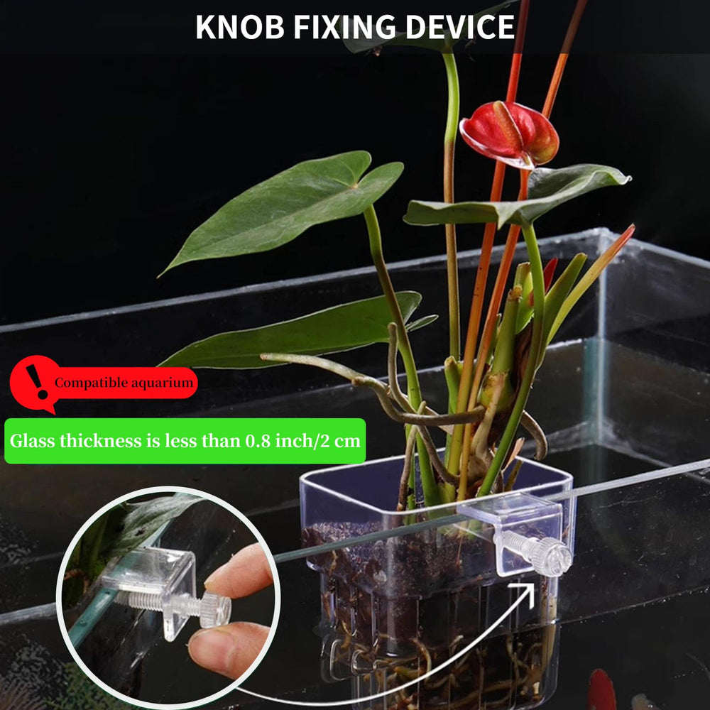 Les trous au fond favorisent la circulation et l'enracinement des plantes aquatiques.