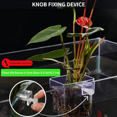 Les trous au fond favorisent la circulation et l'enracinement des plantes aquatiques.