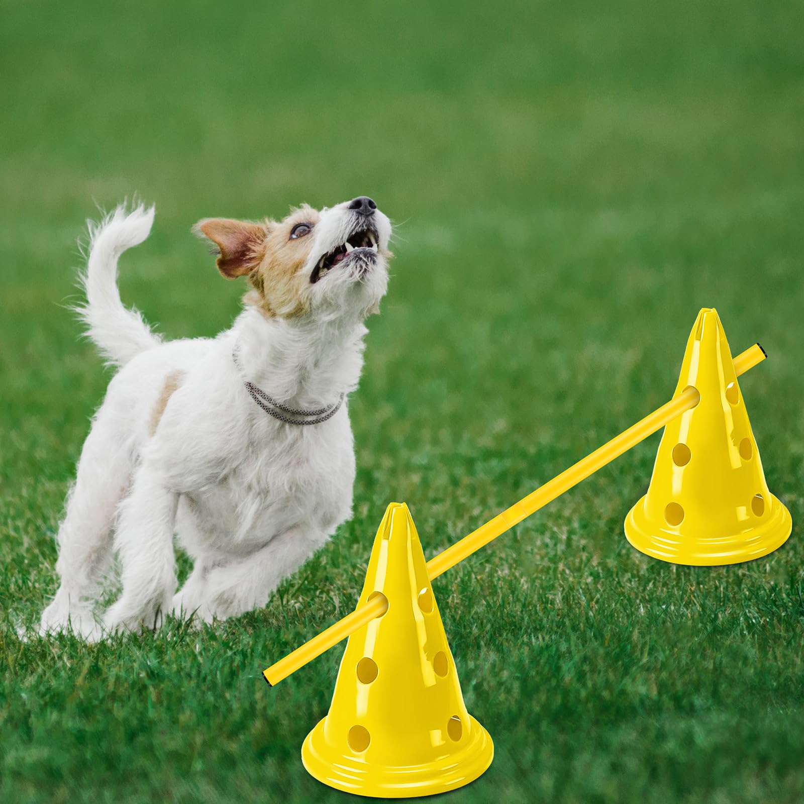 Glimin cones parcours jardin: ideale pour sessions en plein air et motivation