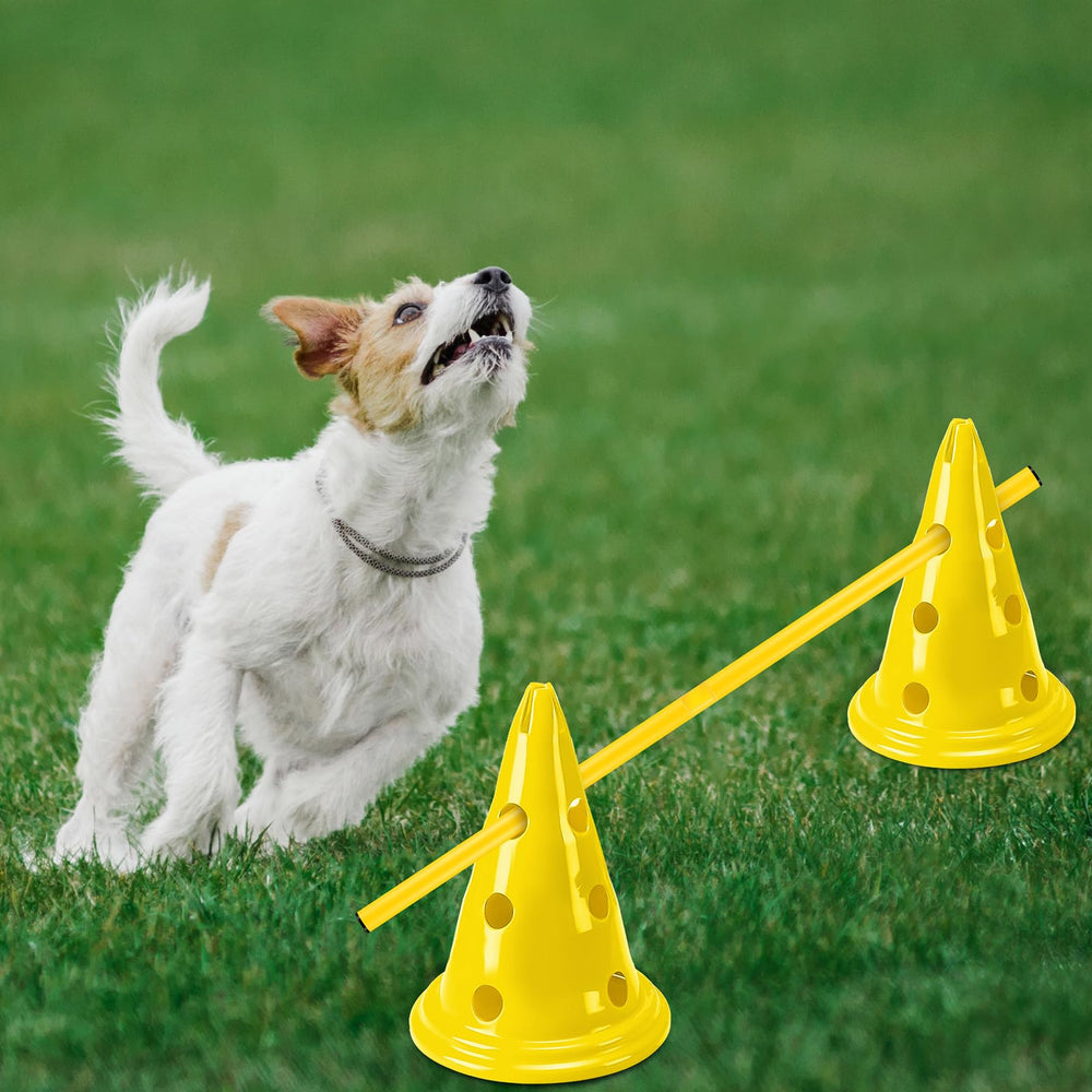 Glimin cones parcours jardin: ideale pour sessions en plein air et motivation