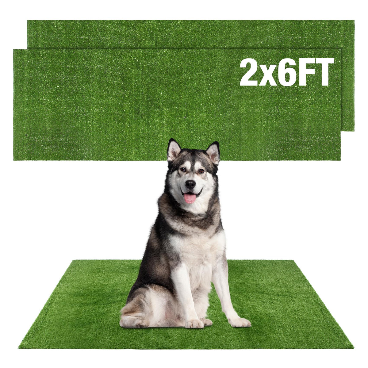 GLOBREEN tapis gazon artificiel pour chiens-potty, pratique et accessible