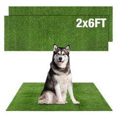 GLOBREEN tapis gazon artificiel pour chiens-potty, pratique et accessible