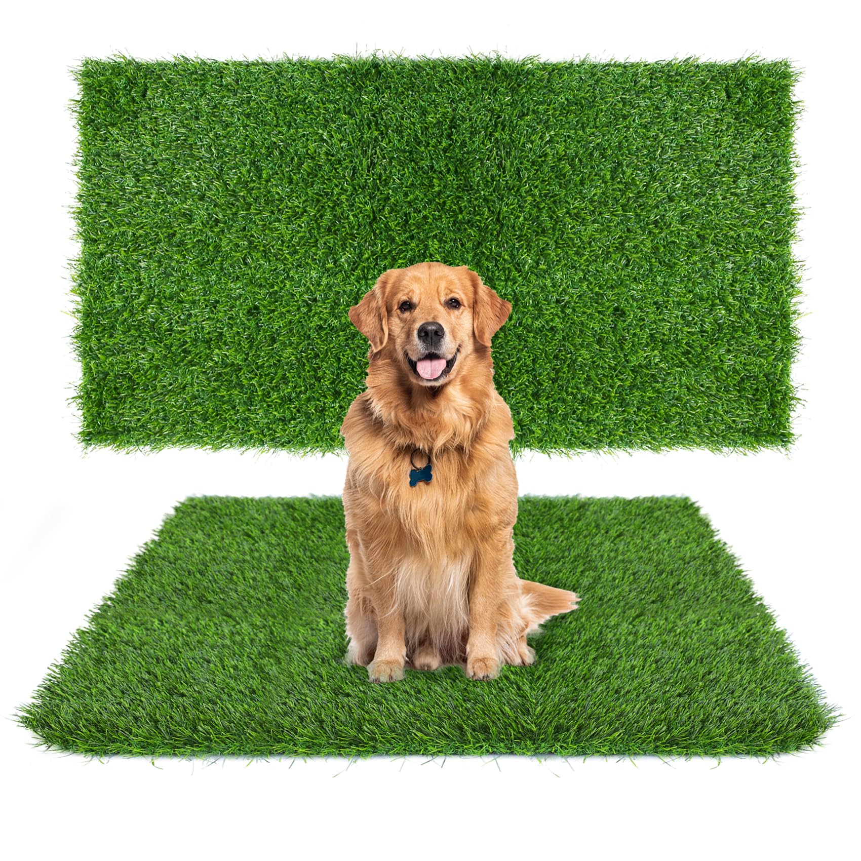 Globreen tapis d'herbe artificielle grande taille prêt pour l'entraînement à la propreté.