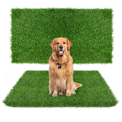 Globreen tapis d'herbe artificielle grande taille prêt pour l'entraînement à la propreté.