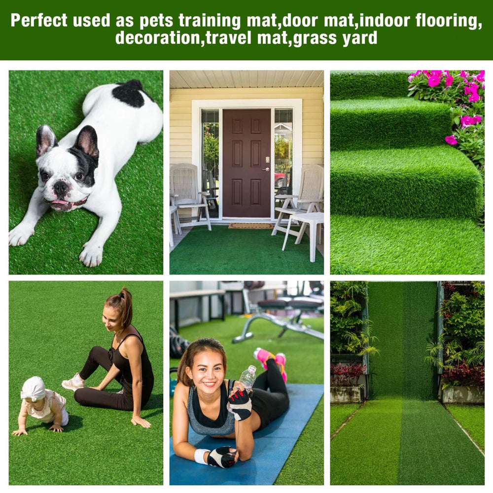 Utilisation quotidienne et entraînement toilette avec le tapis GLOBREEN