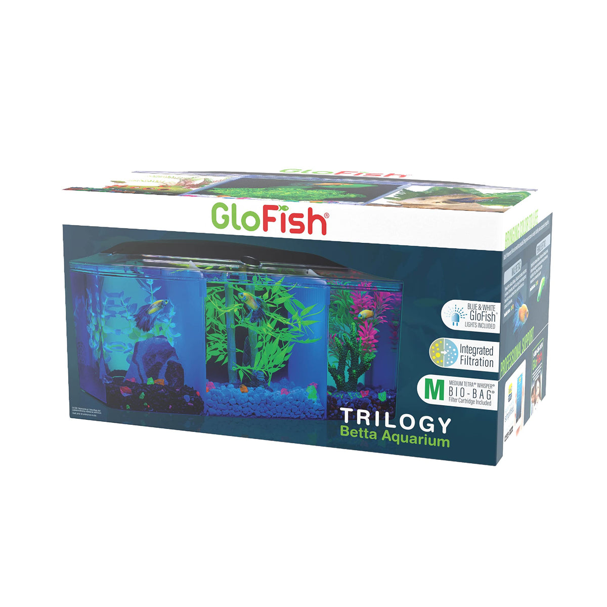 GloFish Betta Trilogie: aquarium 3 galons avec trois compartiments pour bettas séparés.