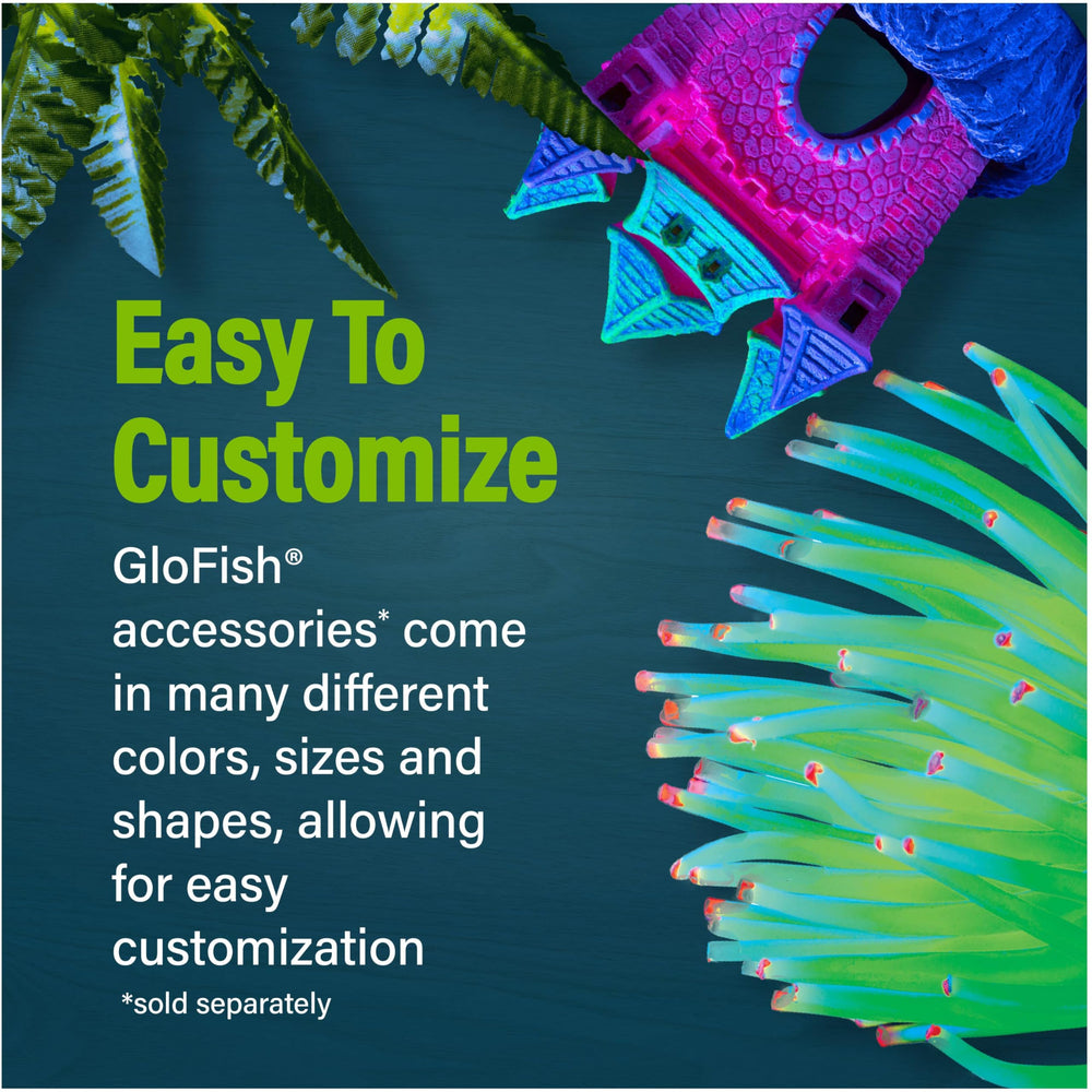 GloFish Betta Trilogie: plastique durable et design compact.