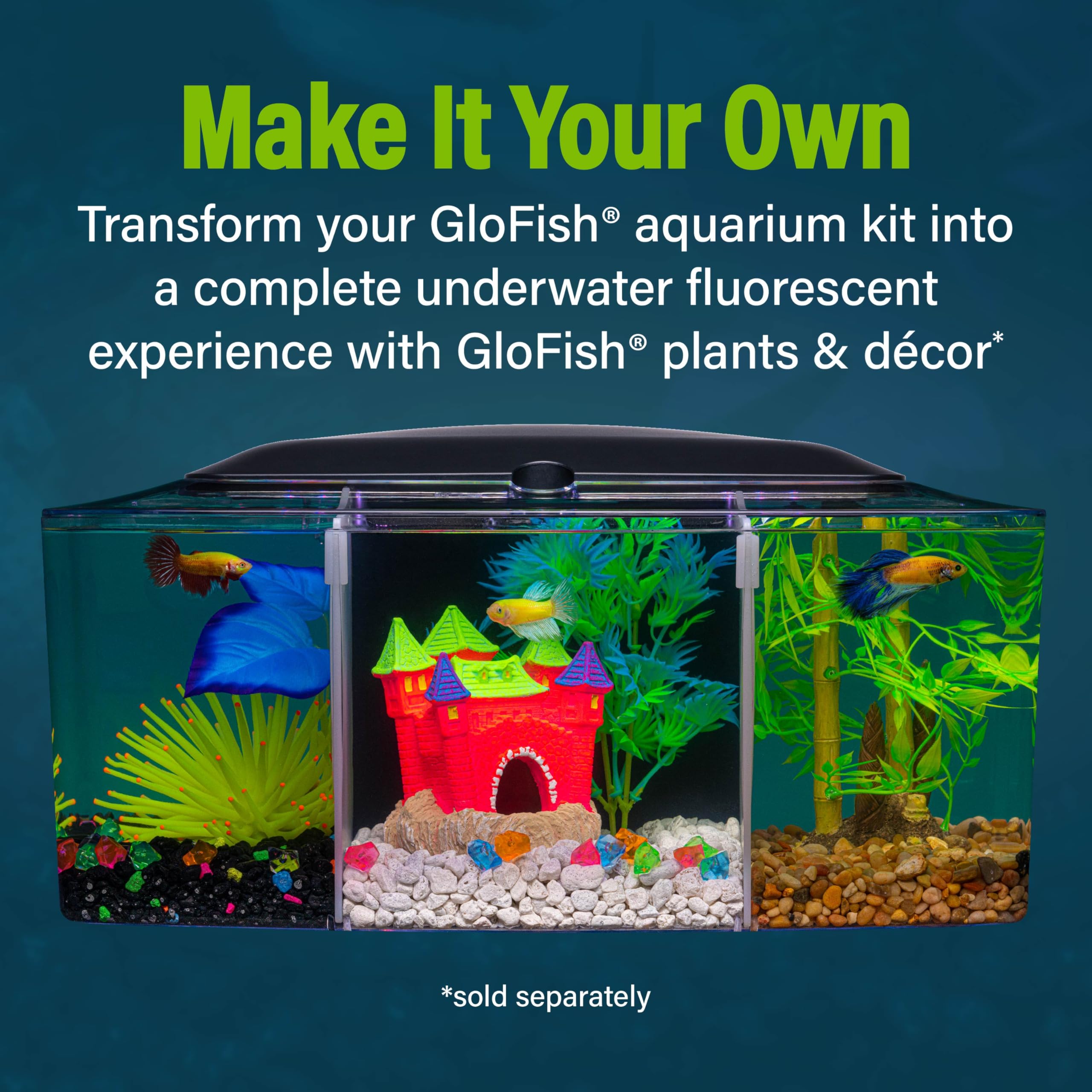 GloFish Betta Trilogie: installation rapide et entretien simplifié.