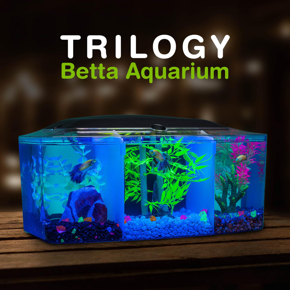 GloFish Betta Trilogie: contrôle LED simple pour varier l ambiance.