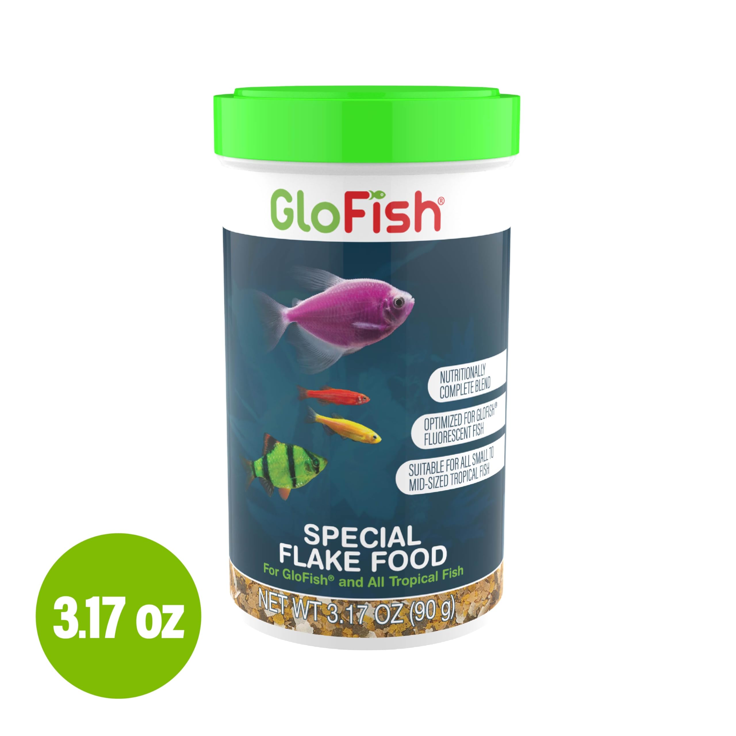GloFish Couleurs fluorescentes mises en valeur dans l aquarium
