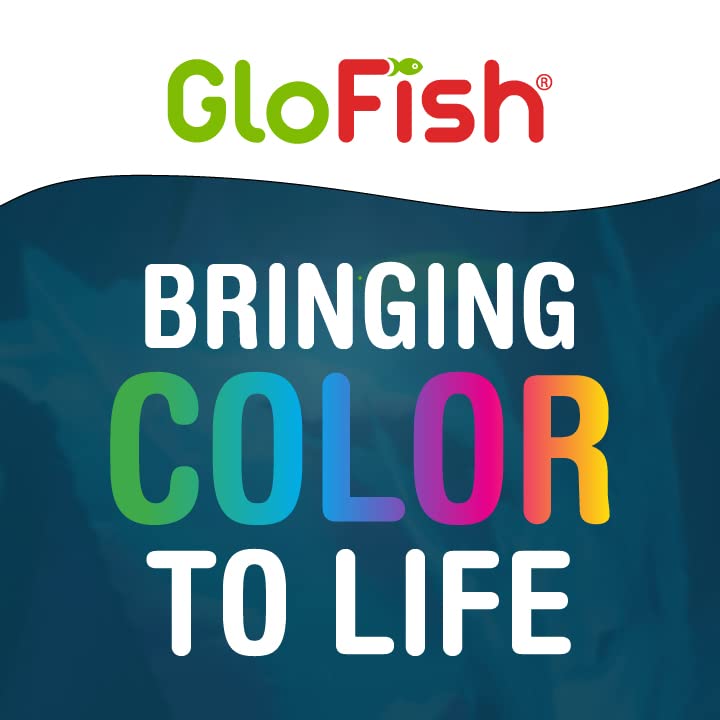 GloFish base colorée, apporte profondeur et contraste sous éclairage bleu.