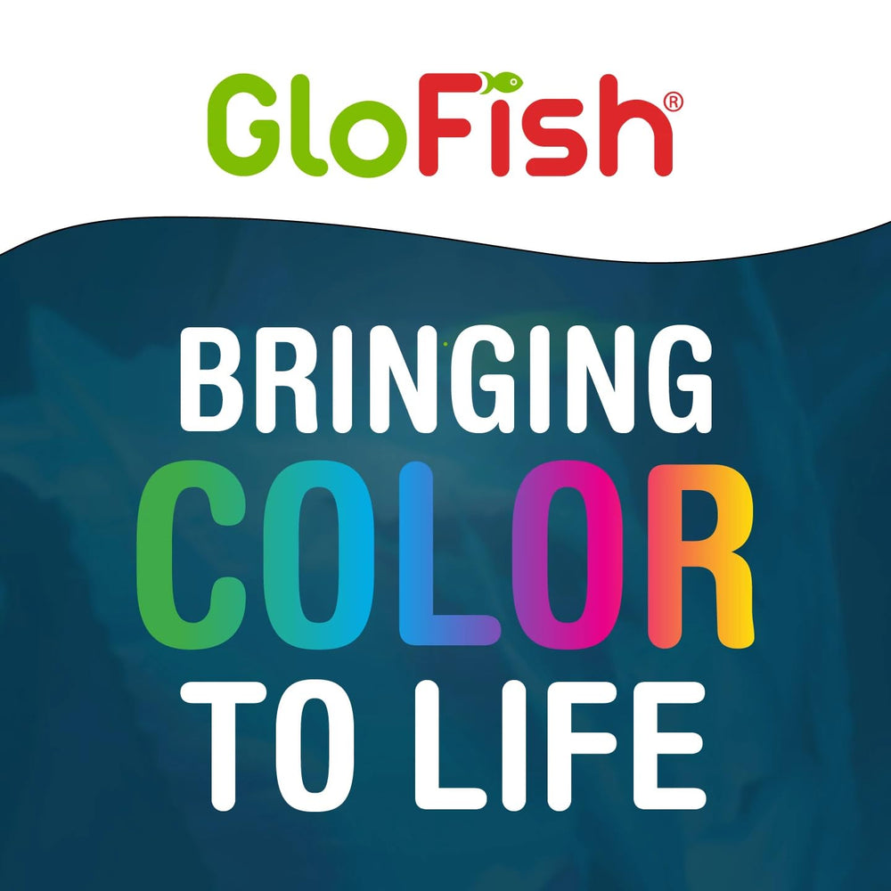 GloFish gravier blanc ajoutant une touche décorative contemporaine à l’aquarium.