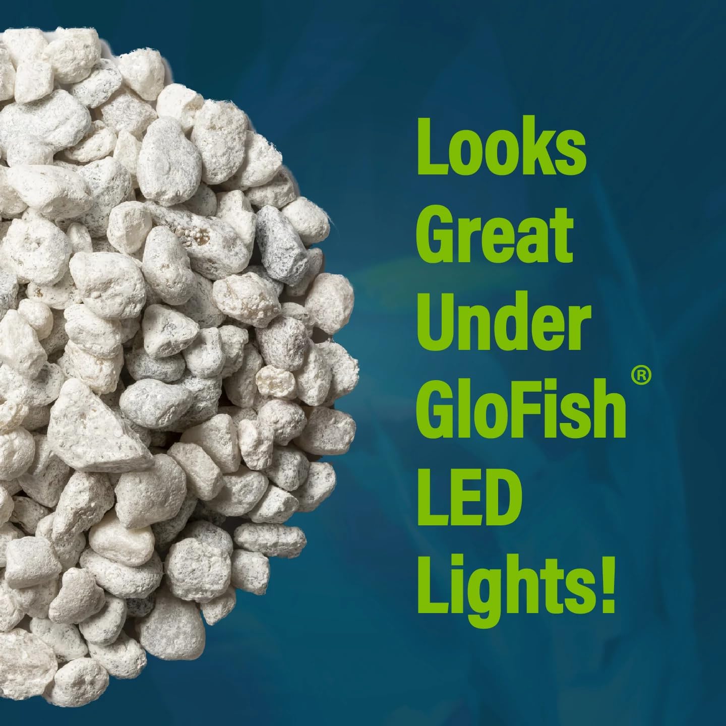 GloFish gravier blanc nécessitant rinçage préalable avant utilisation.