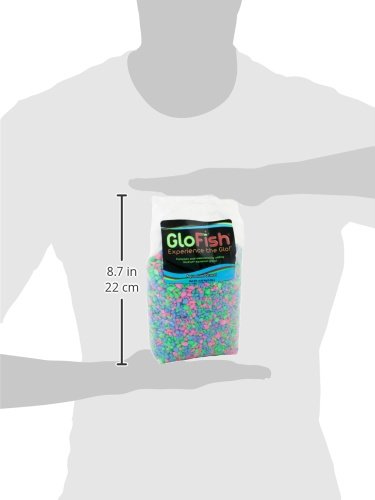 GloFish gravier sous lumière bleue révèle des reflets fluorescents.