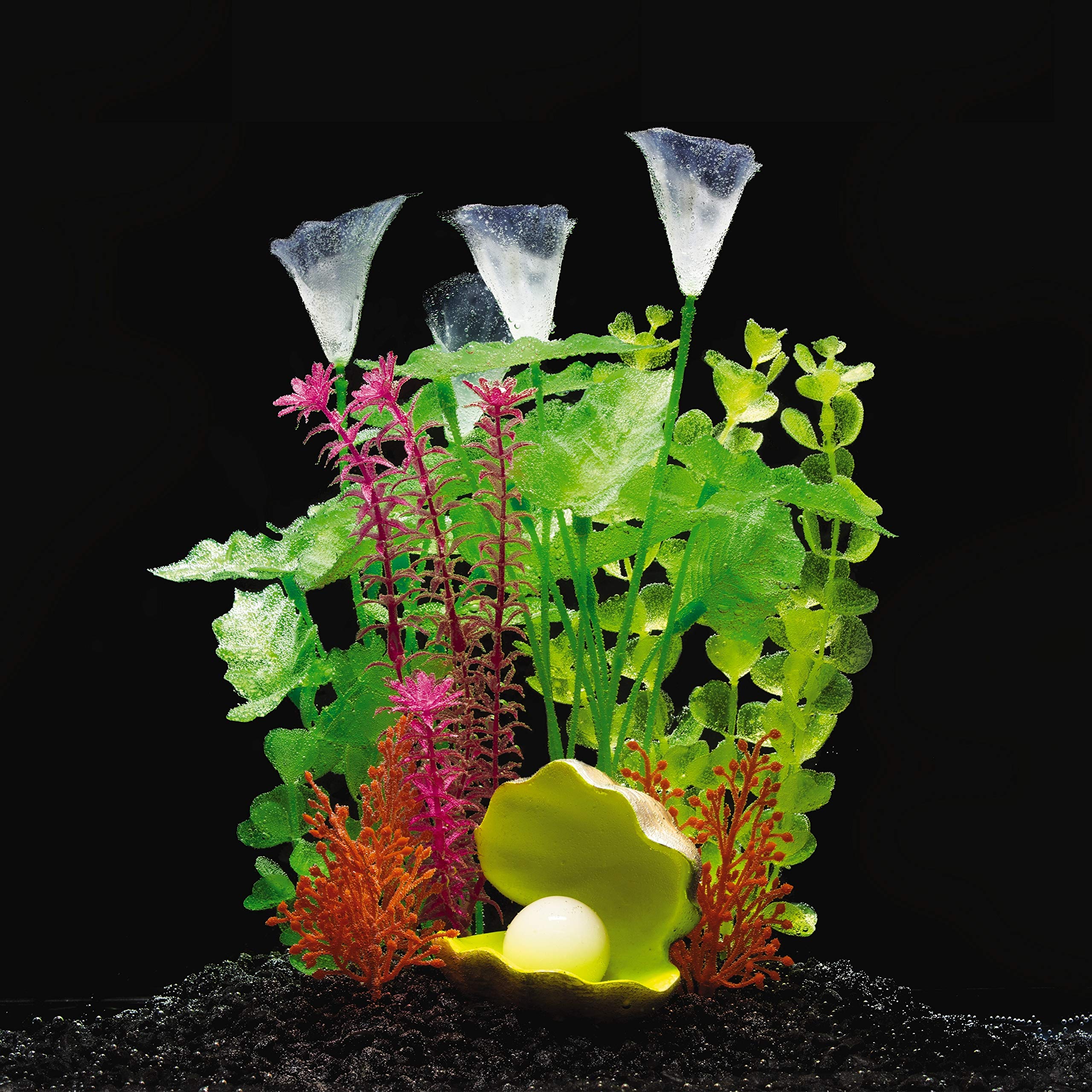 GloFish gravier noir – contraste fluorescent optimal sous éclairage LED.