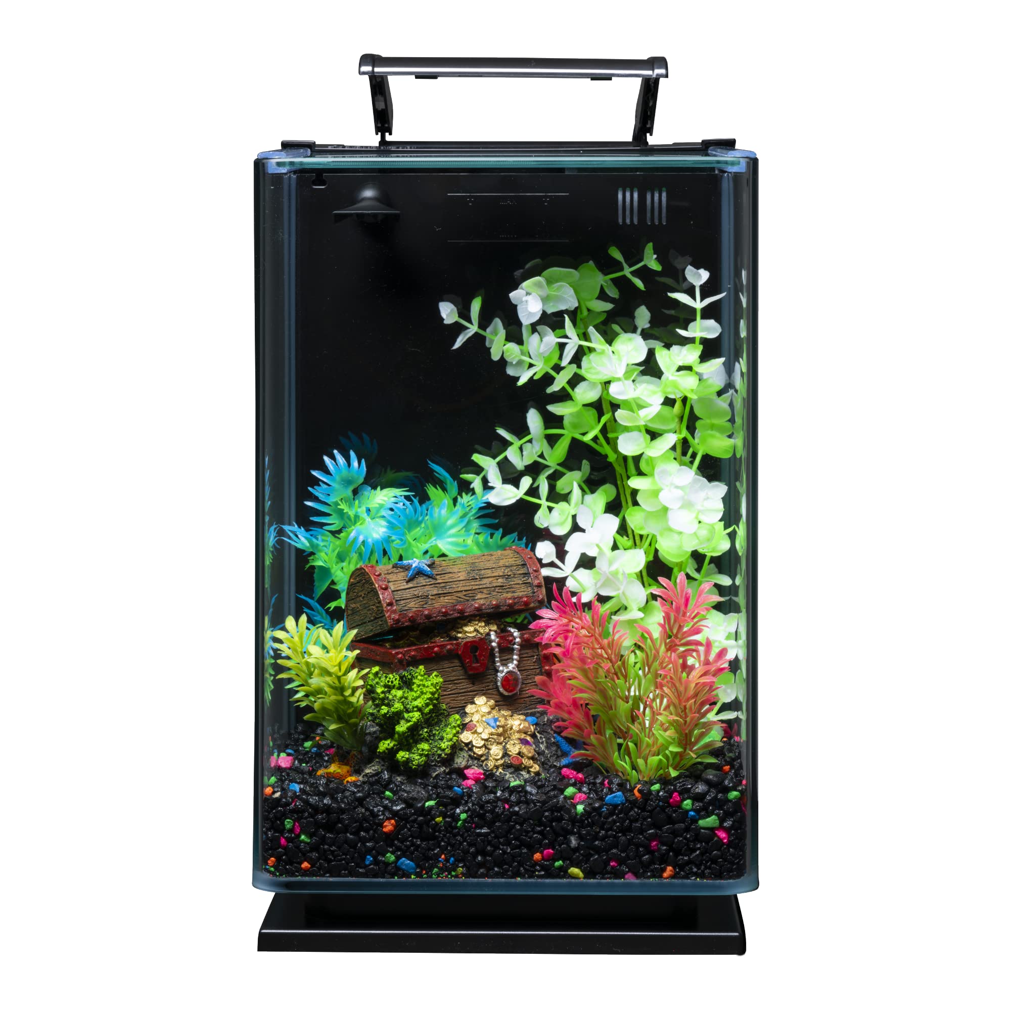 GloFish gravier noir et accents fluorescents reflètent sous lumière bleue.