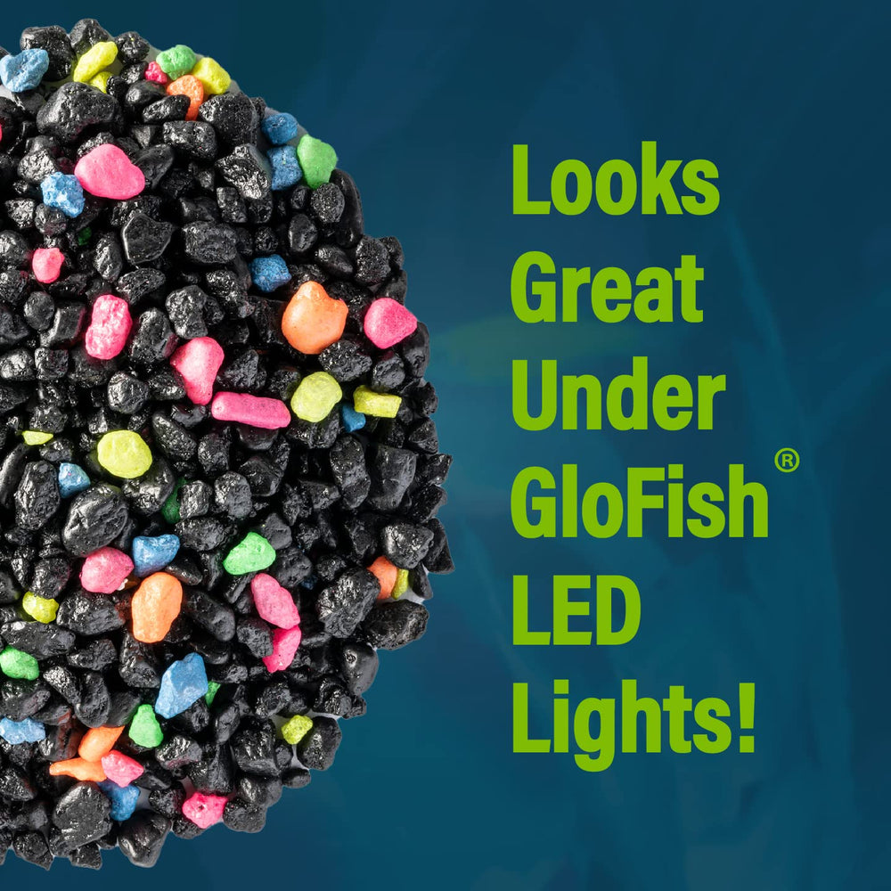 GloFish gravier noir sous éclairage bleu intensifie les couleurs fluorescentes.