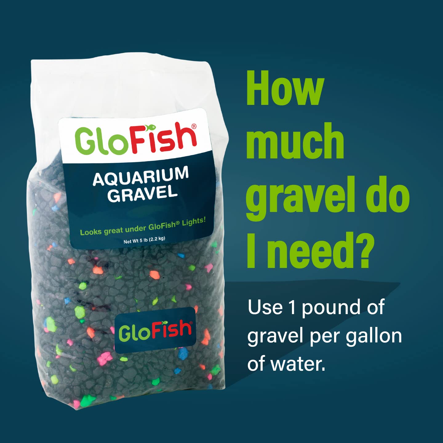 GloFish gravier noir et accents fluorescents favorisent la profondeur visuelle.