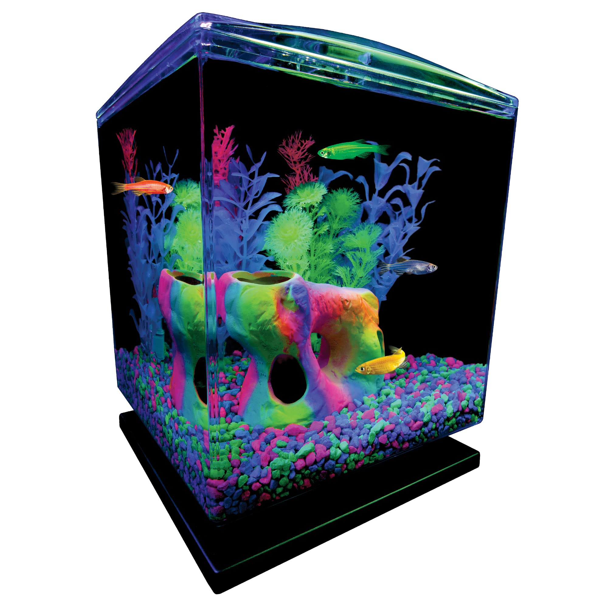 GloFish gravier vert rehausse les plantes et décorations aquatiques.