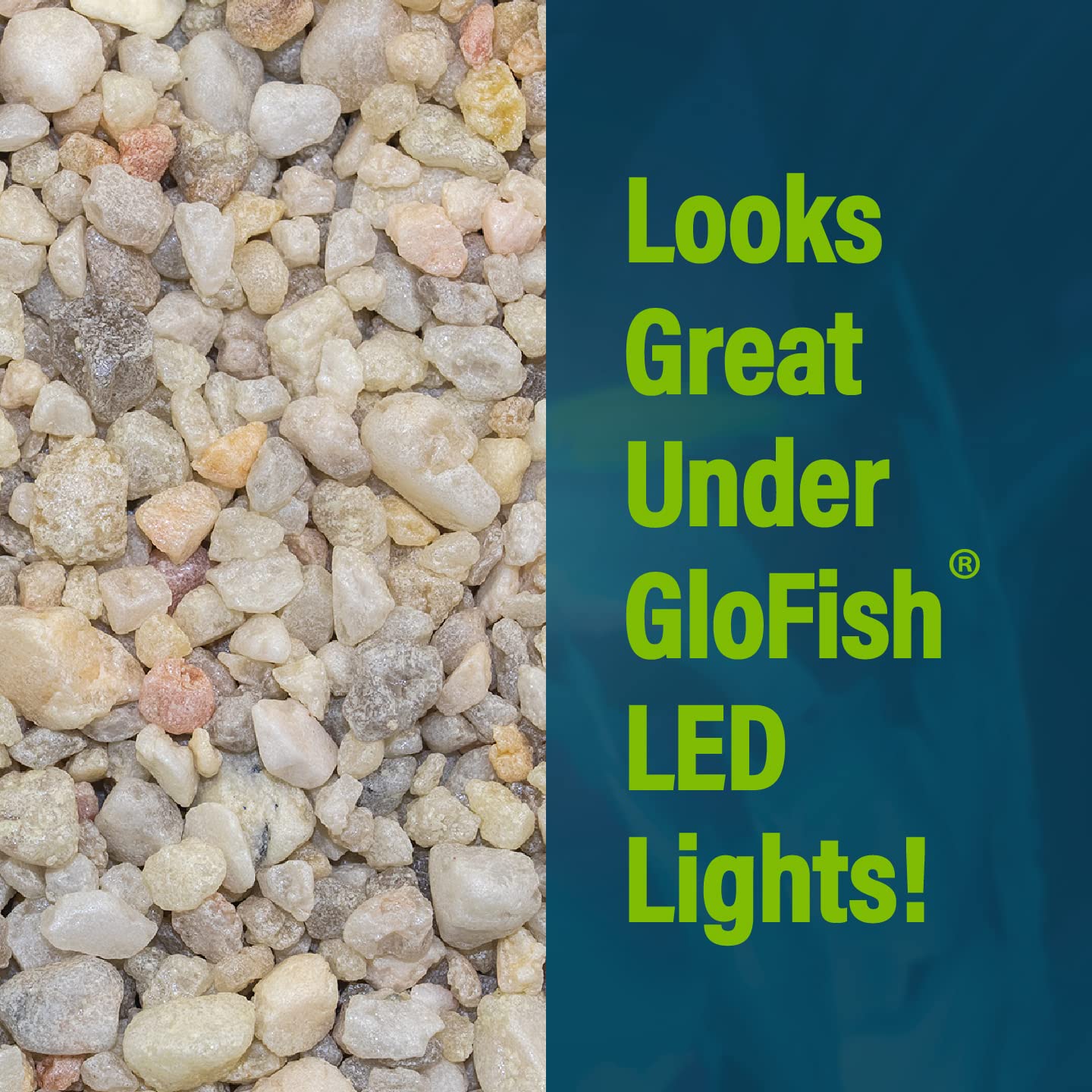 GloFish gravier base-substrat, support solide pour plantes et décorations.