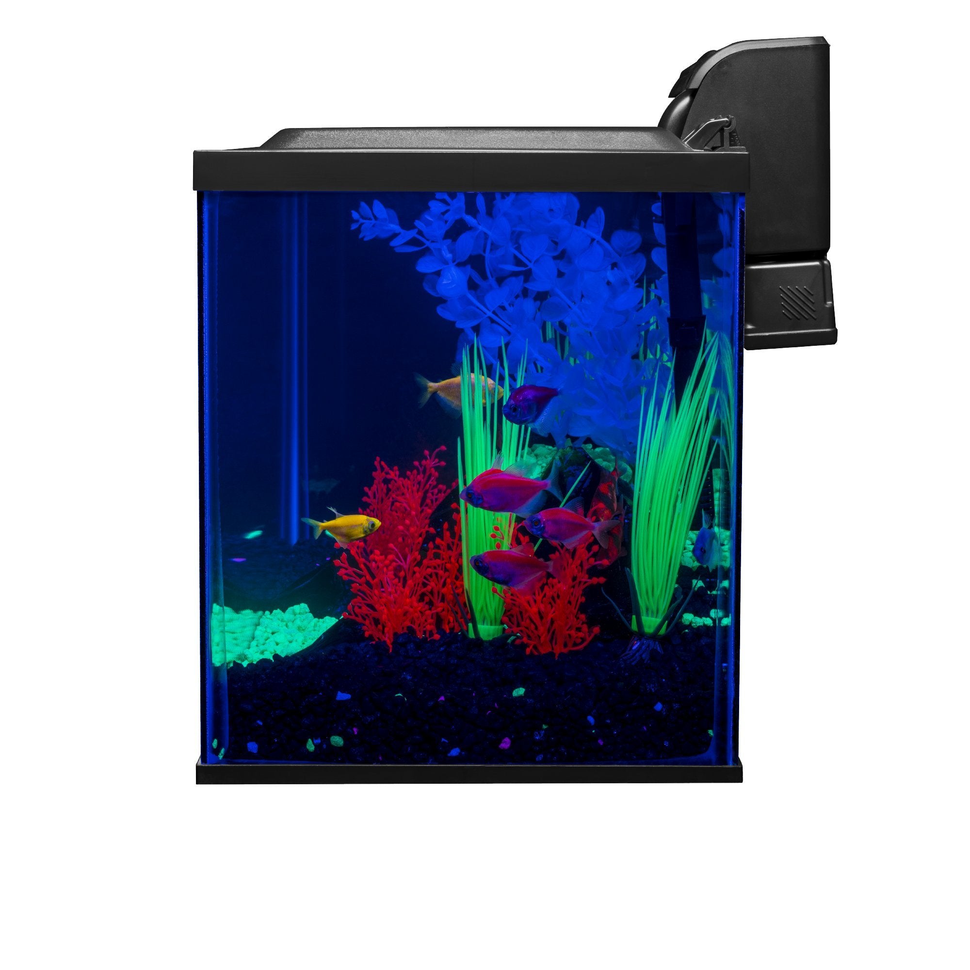 Hotte basse avec LED du GloFish offrant un éclairage économe et uniforme