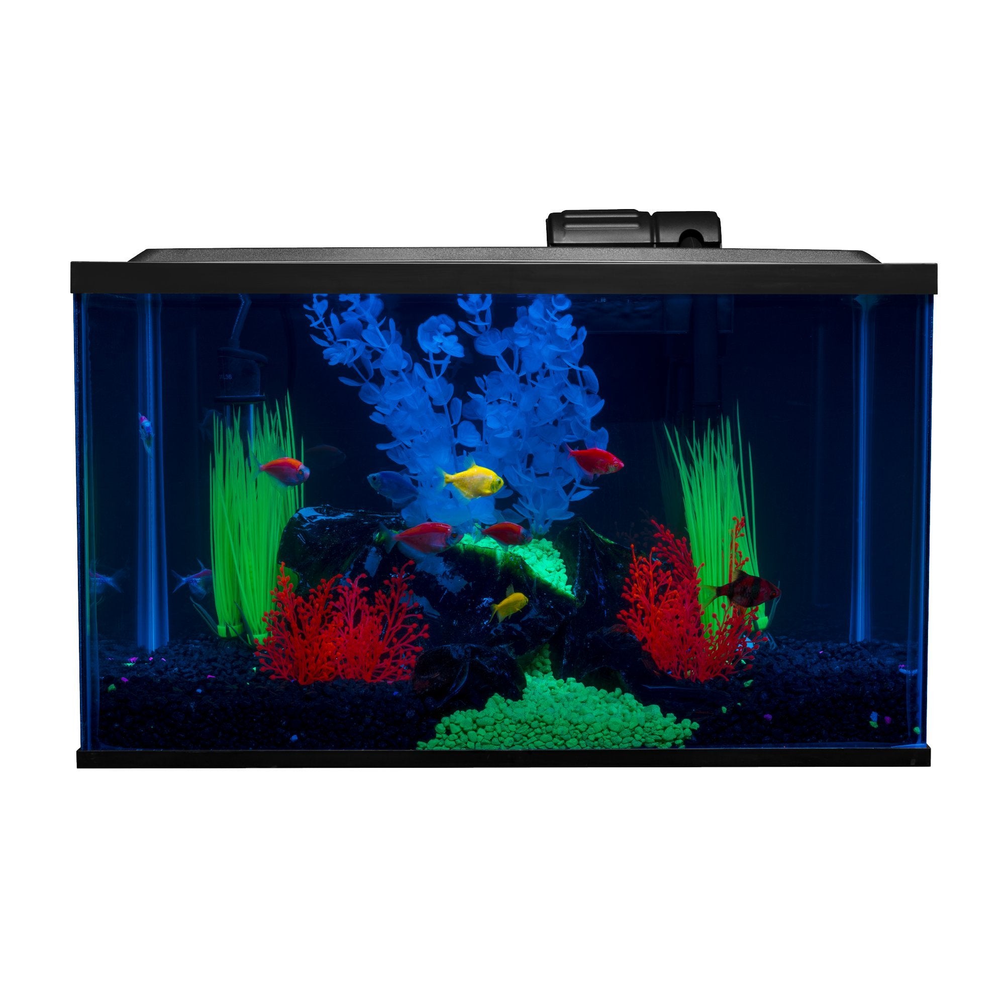 Kit GloFish aquarium 10 galons avec LED pour couleurs fluorescentes éclatantes