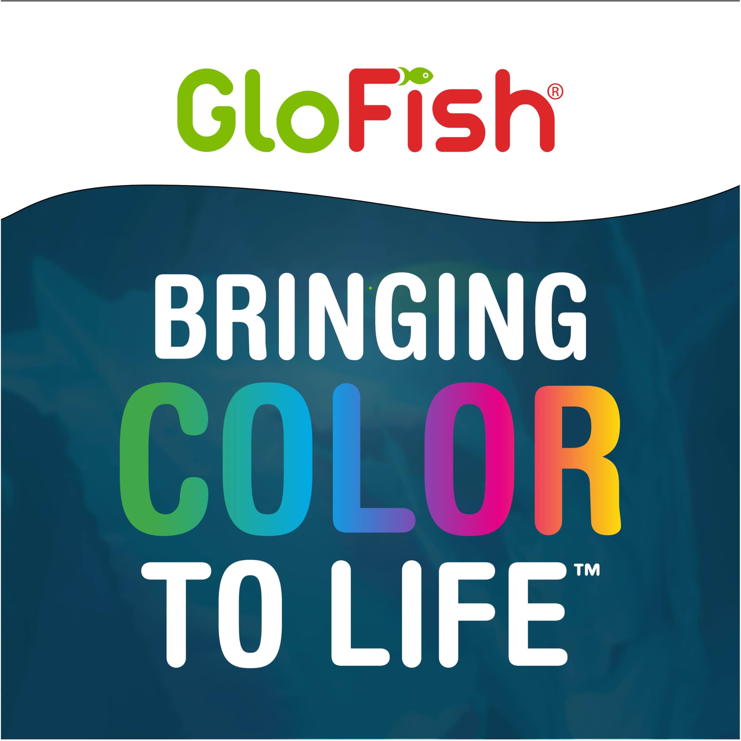 GloFish Nourriture flocons pour aquariums domestiques