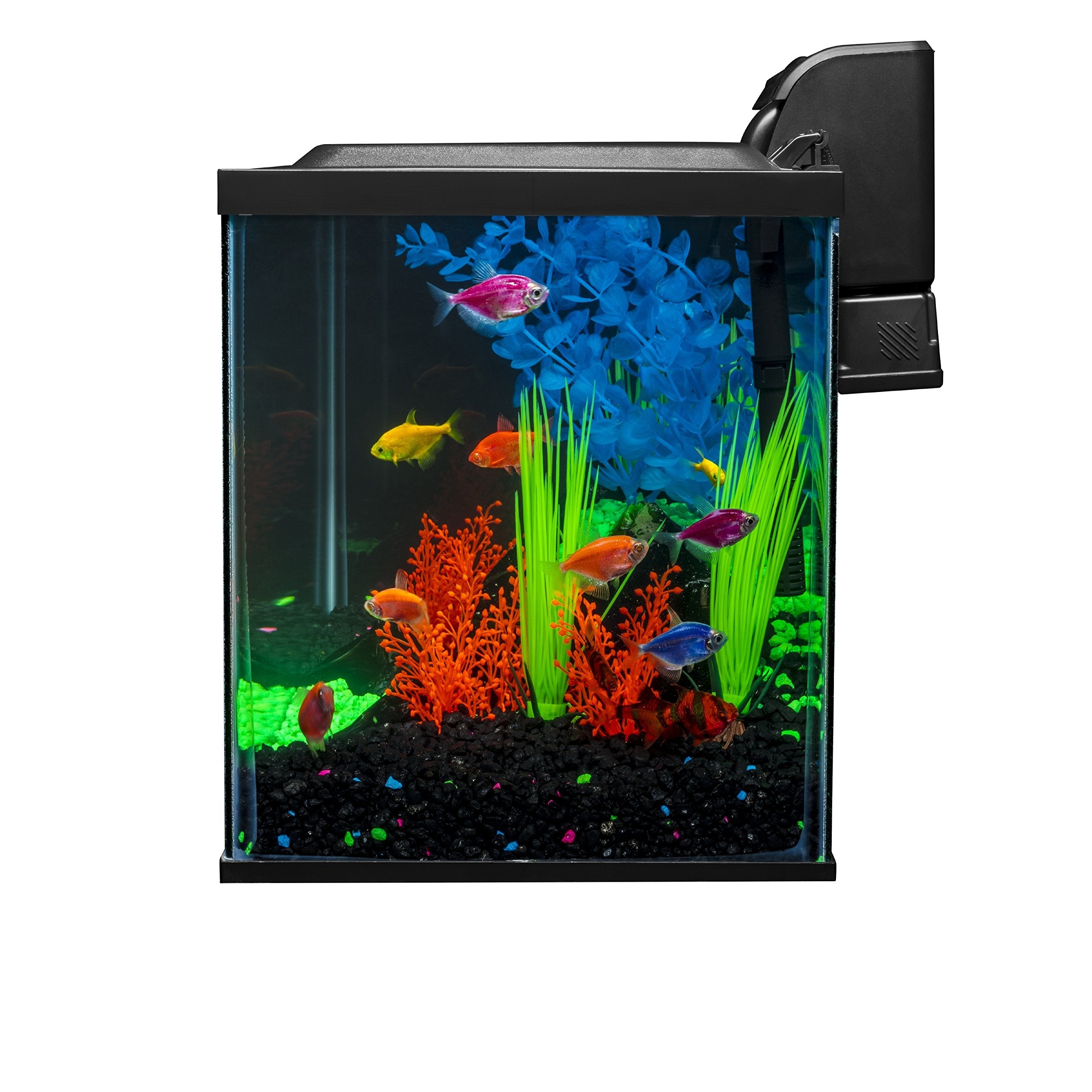 Échantillon de nourriture GloFish pour démarrer rapidement l’alimentation