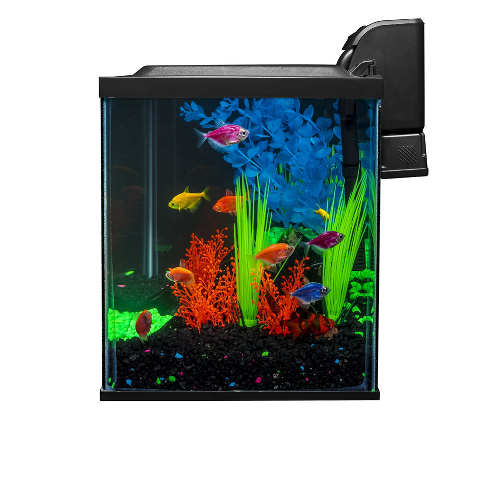 Échantillon de nourriture GloFish pour démarrer rapidement l’alimentation
