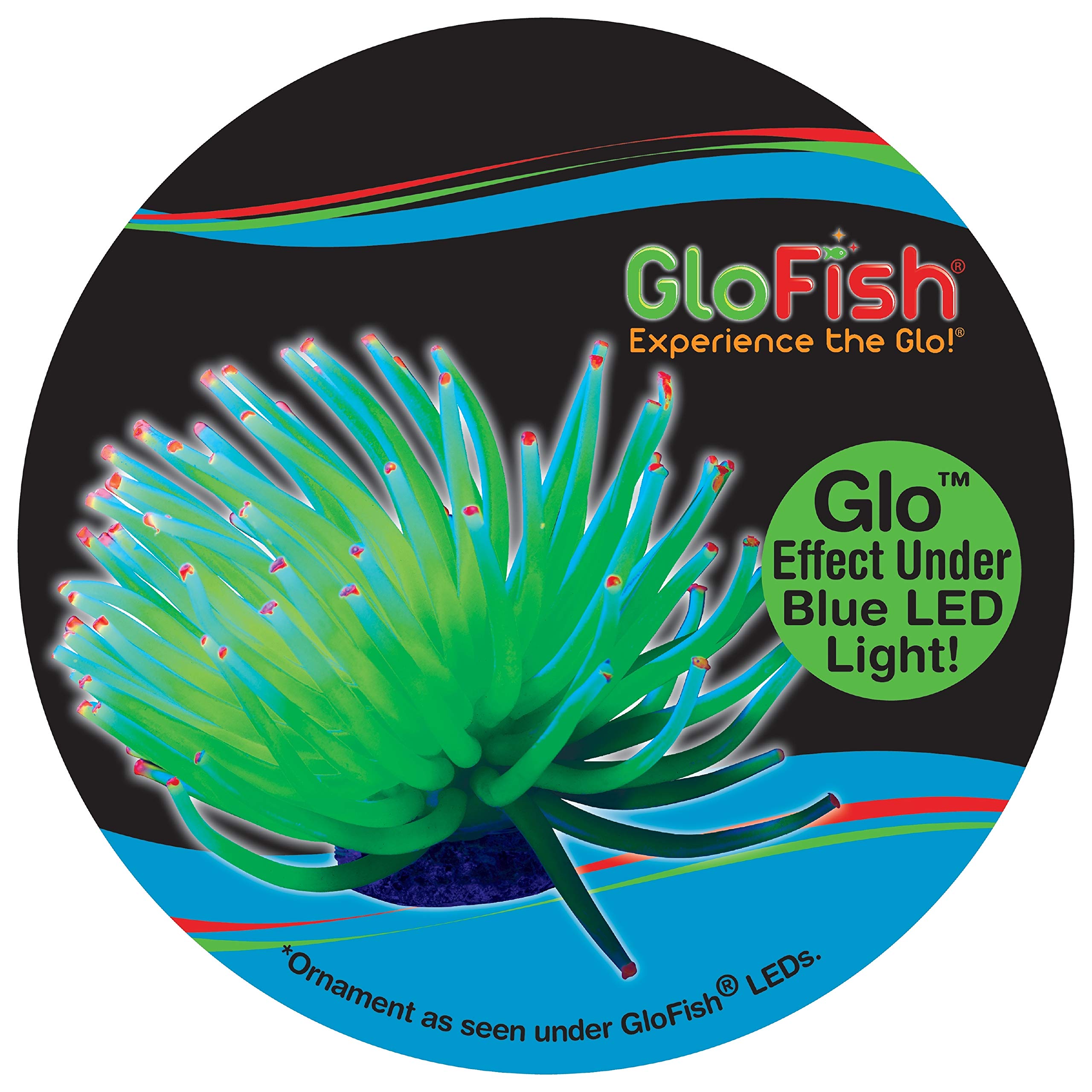 GloFish jaune anémone: cachette sécurisée pour les poissons dans le décor.
