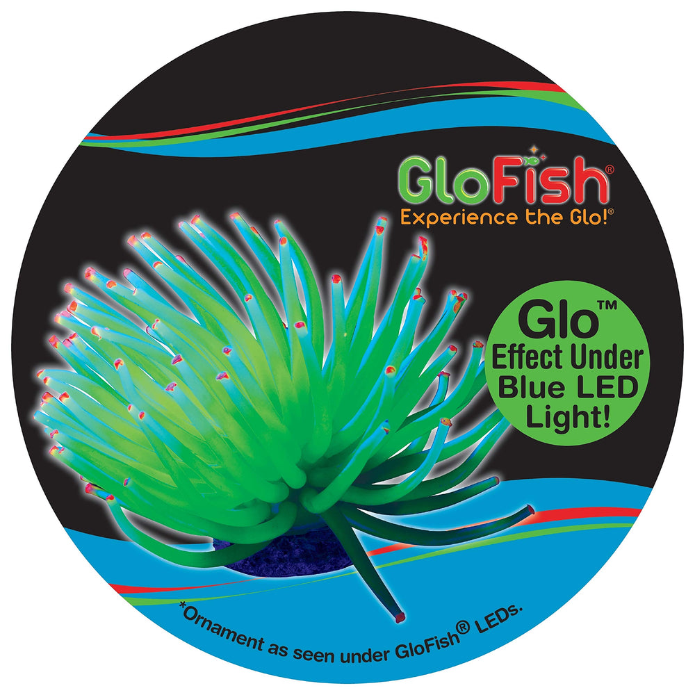 GloFish jaune anémone: cachette sécurisée pour les poissons dans le décor.