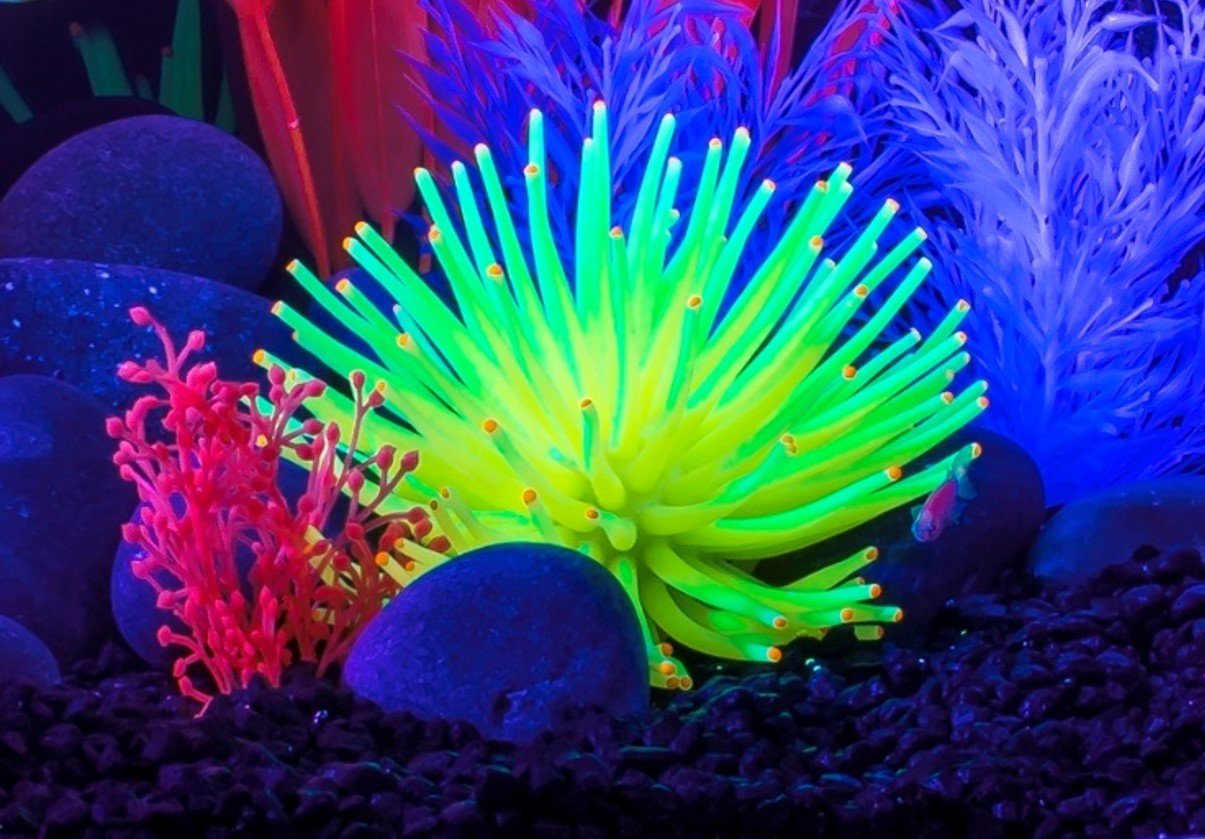 Ornement GloFish jaune anémone: reflets lumineux sous l’éclairage LED pour l’effet glow.