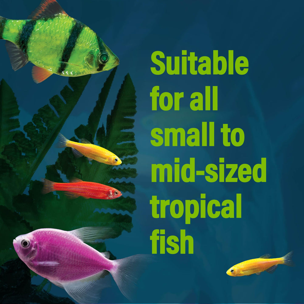 GloFish Poissons tropicaux apprécient alimentation quotidienne