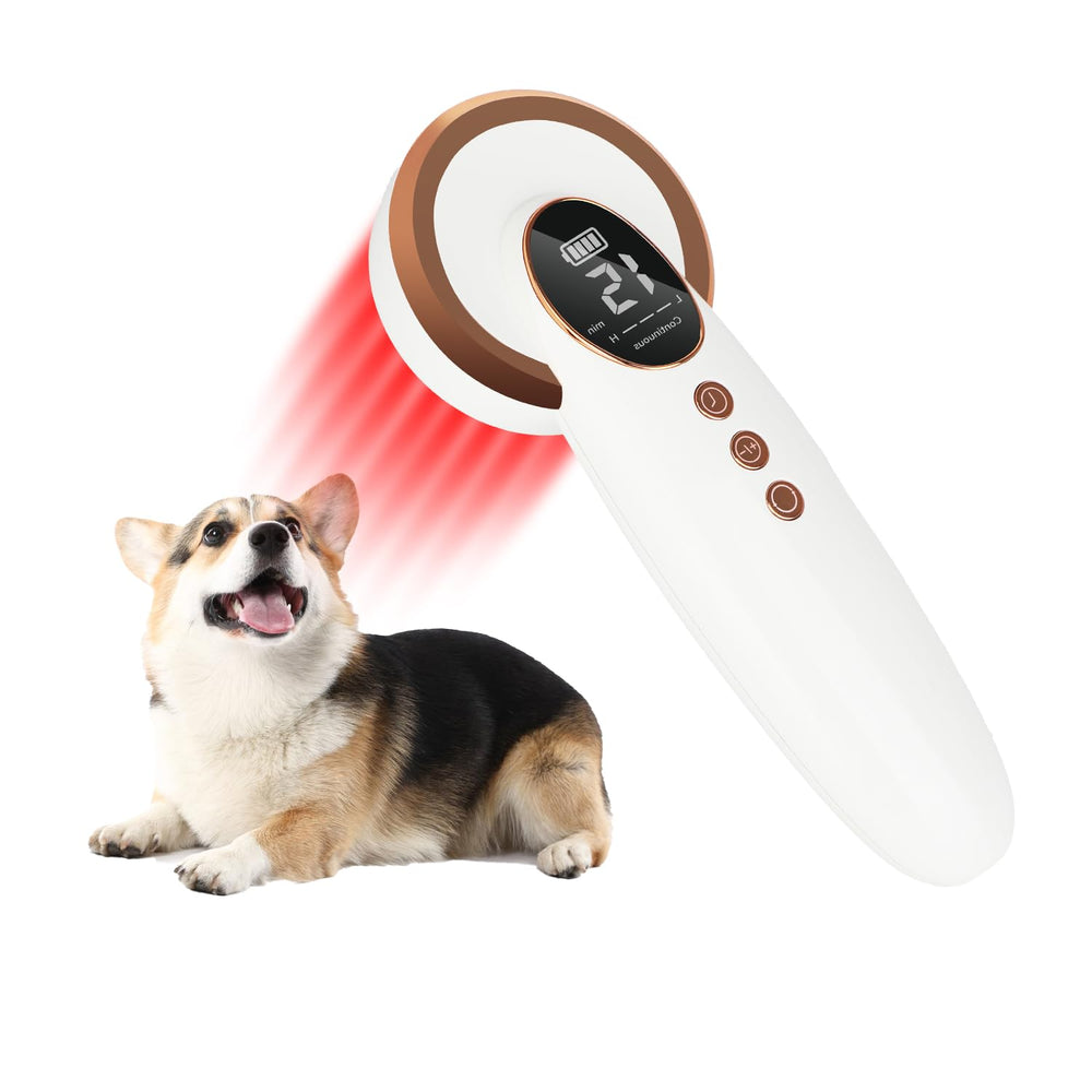 GLOHFAN laser froid pour chiens, séance à domicile pour soulager les douleurs articulaires.