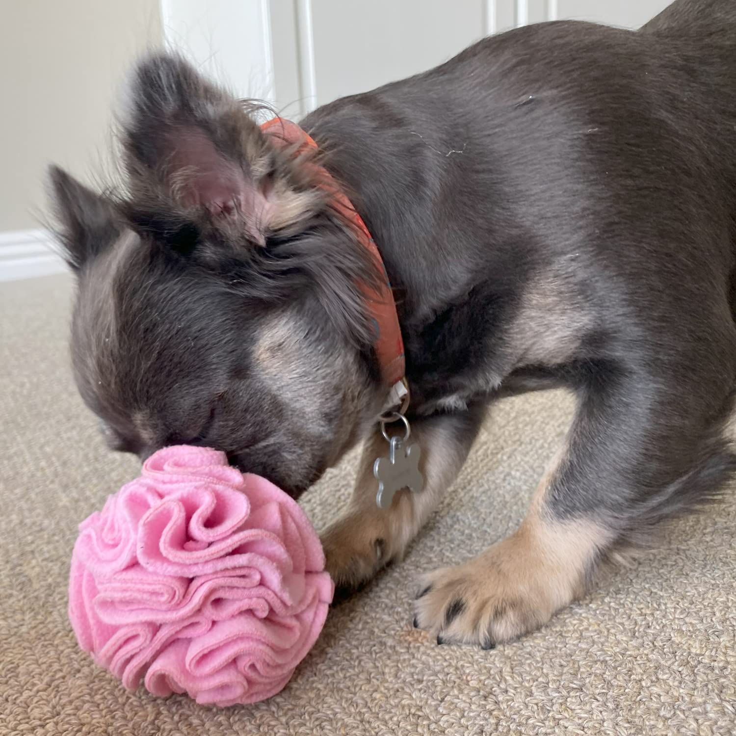 Glory To Dog jeu interactif rose: récompense des friandises et engagement.