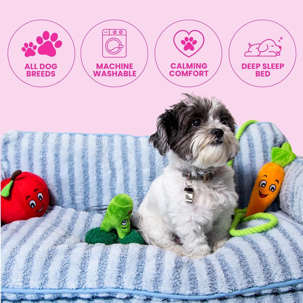 Housse lavable Glow Pups: nettoyage rapide et hygiène.