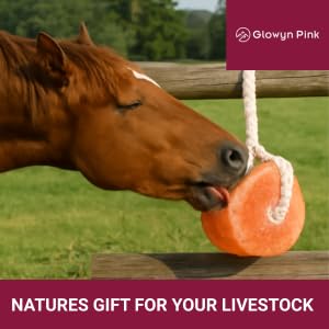 Glowyn Pink bloc rose riche en minéraux pour un apport naturel en sel.