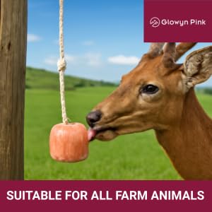 Glowyn Pink blocs épais sur corde, conçus pour résister et durer.